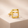 Elysian Frame Gold Ring